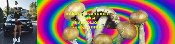 PSILOCYBIN Абинск