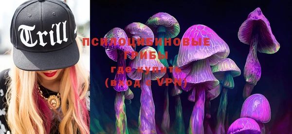 PSILOCYBIN Абинск