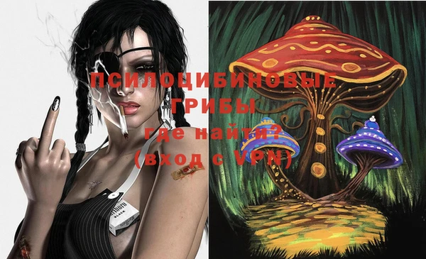 PSILOCYBIN Абинск
